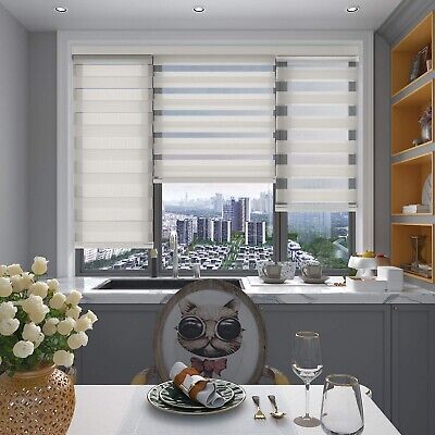 Changshade Cordless Zebra Roller Shade with Valance, Double Layered Window Bl...