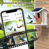 Smart Bird Feeder with Camera Solar Powered, Bird Watching Camera with AI Ide...