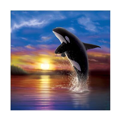 Trademark Fine Art 'Orca Sunrise' Canvas Art by Chris Dobrowolski 24x24