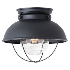 Sea Gull Lighting 8869-12 Sebring Transitional One-Light Outdoor Ceiling Flus...