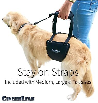 Dog Sling Hip Lift Harness, Tall Male fits Tall, Lean Dogs Like Greyhounds or...