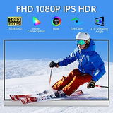 Portable Monitor-15.6 Inch Travel Screen FHD FreeSync Frameless Eye Silver