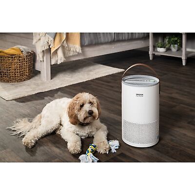 Broan-NuTone BNAP-100 Air Purifier with Verified Zero Ozone and Auto Particul...