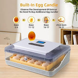 Incubators For Hatching Eggs 25&#65292;Egg Incubator With Automatic Egg Turning