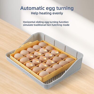 Incubators For Hatching Eggs 25&#65292;Egg Incubator With Automatic Egg Turning