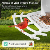 Bird Feeder with Camera,Solar Charging Panel Smart Bird Feeder,AI Recognition...