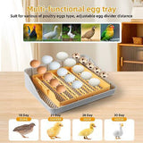 Incubators For Hatching Eggs 25&#65292;Egg Incubator With Automatic Egg Turning