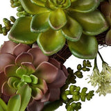 Nearly Natural 4798 Artificial Succulent Wreath, 15-inch diameter, Green,20x2...