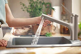 hansgrohe Zesis Stainless Steel Single-Handle Kitchen Optic