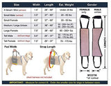 Dog Sling Hip Lift Harness, Tall Male fits Tall, Lean Dogs Like Greyhounds or...