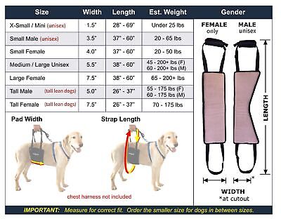 Dog Sling Hip Lift Harness, Tall Male fits Tall, Lean Dogs Like Greyhounds or...