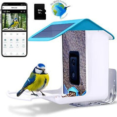 Bird Feeder with Camera. Smart Bird Feeder with Camera Wireless Outdoor. Came...