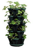 Mr. Stacky 1305-HG 5-Tier Stackable Strawberry, Herb, Flower, & Vegetable Pla...