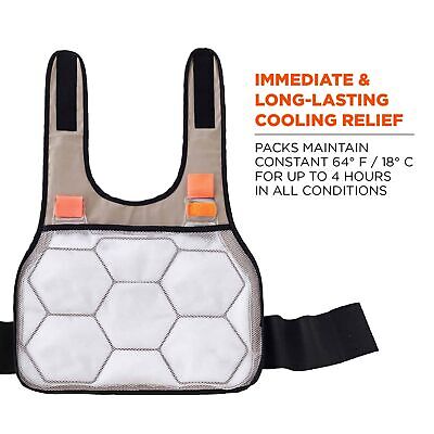 Cooling Vest with 2 Ice Packs, Instant Cooling Relief, Flexible Design, Ergod...