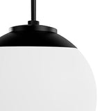 Hunter Fan Company 19849 Hepburn Pendant Light, 12 inches, Matte Black