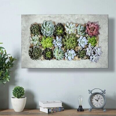 Modern Home Living Wall Galvanized Steel/Zinc Succulent Planter (Aged Zinc, H...