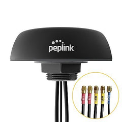 Peplink Cellular & WiFi Antenna Mobility 22G | LTE 2x2 MIMO Cellular High Ban...