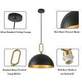 17.7'' Farmhouse Vintage Pendant Lighting Black and Gold Pendant Light Fixtur...