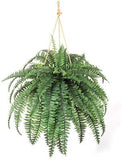 Artificial Boston Fern Plant with 60 Lifelike Green Silk Fronds | 48" Wide | ...