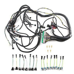 W/4L60E Standalone Wiring Harness fits for 2003 2004 2005 2006 2007 Vortec En...