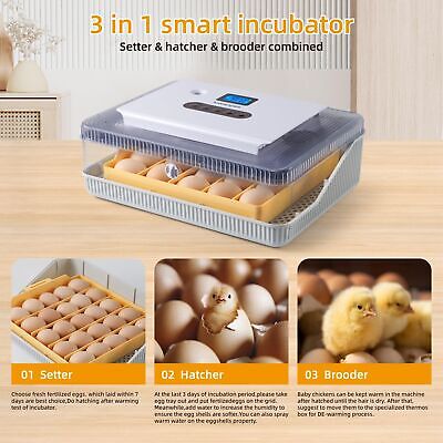 Incubators For Hatching Eggs 25&#65292;Egg Incubator With Automatic Egg Turning