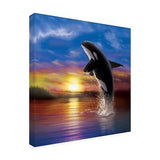 Trademark Fine Art 'Orca Sunrise' Canvas Art by Chris Dobrowolski 24x24