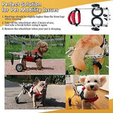 Dog Wheelchair for Back Legs Small Dog Carts with Wheels Adjustable Wheelchai...