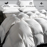 Feather Down Comforter Queen Size, All-Season Duvet Insert Feather and Down C...