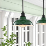 JONATHAN Y JYL7611F Jasper 12.25" 1-Light Farmhouse Industrial Indoor/Outdoor...