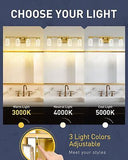 kudos Brushed Gold Vanity Light, 4-Light Bathroom Light Fixtures, Modern LED ...