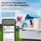 Smart Bird Feeder with Camera, 1080P Video Bird Feeders Squirrel Proof, AI Re...