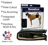 Dog Sling Hip Lift Harness, Tall Male fits Tall, Lean Dogs Like Greyhounds or...