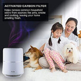 Profile Air Purifier | Removes Allergens, Odors & Other Impurities | Complete...