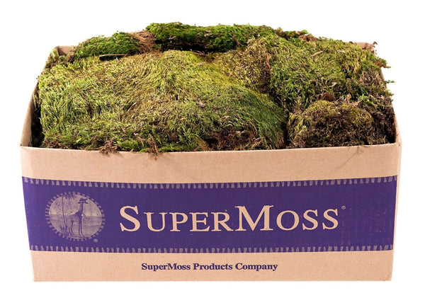 SuperMoss (21537 Mood Moss Dried, Natural, Bulk 1565 Cubic Inches Natural Dried