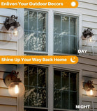 LOG BARN Black Outdoor Wall Lights 2 Pack, Exterior Globe Anti Rust Waterproo...