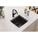 Elkay Quartz Classic ELG1616BK0 Black Single Bowl Dual Mount Sink Only,