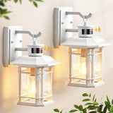 VIANIS Outdoor Motion Lights for House, 2-Pack Dusk to Dawn Outdoor Lanterns ...