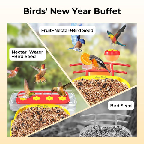 WayCai Bird Feeders Pro - Smart Hummingbird Bird Feeder with Camera, AI Ident...