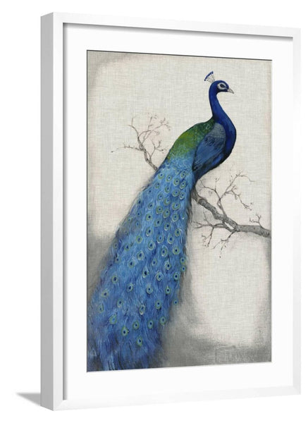 ART.COM Wall Art Print Peacock Blue I on White Frame by Tim O'toole, 21" x 29"