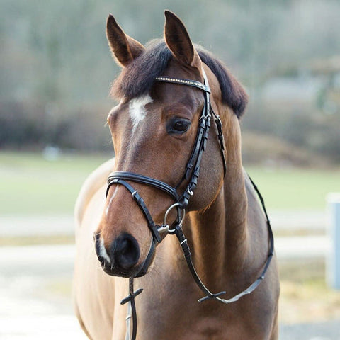 HORZE Weston Padded Leather Snaffle Bridle with Flash Noseband and Web Reins ...