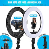 Ring Light 18 Inch LED Ringlight Kit with 73 inch Tripod Stand with Phone Hol...