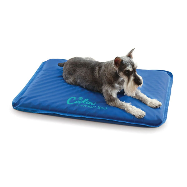 K&H Pet Products Coolin' Comfort Bed Blue Medium 22 X 32 Inches (4C FFP)