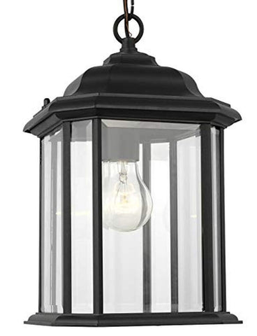 Generation Lighting 60031-12 One Light Outdoor Pendant Clear Black