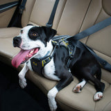 Kurgo Impact Dog Car Harness, Crash Tested Dog Car Harness, Safety Harness fo...