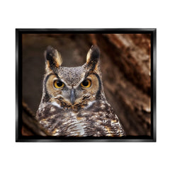 Stupell Industries Horned Owl Nature Photography Framed Floater Canvas Wall A...