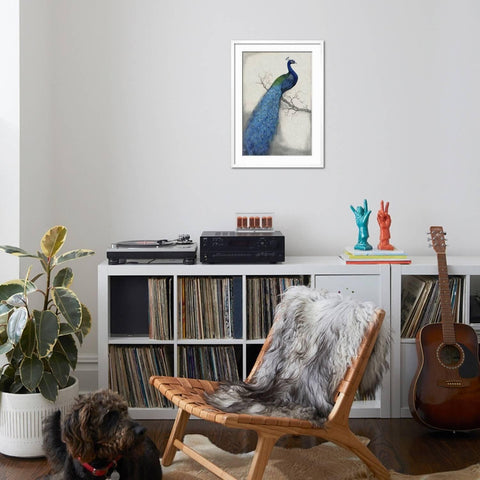 ART.COM Wall Art Print Peacock Blue I on White Frame by Tim O'toole, 21" x 29"