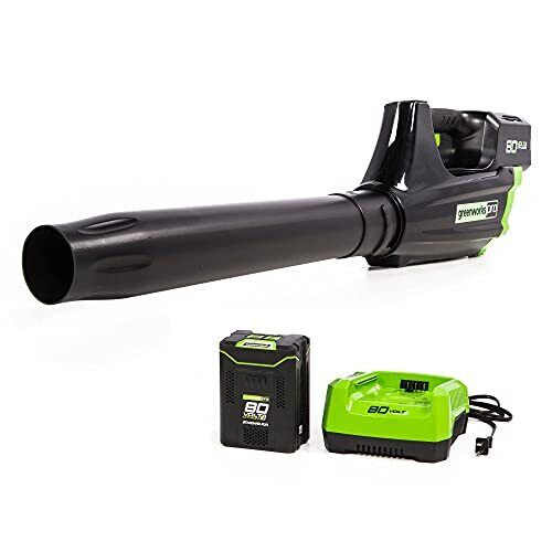 Greenworks 80V (125 MPH / 500 CFM / 75+ Blower (2.0Ah), Green/Black