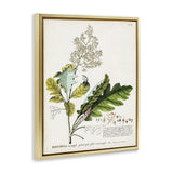 Stupell Industries Botanical Plant Illustration Leaves Vintage Design, Design...