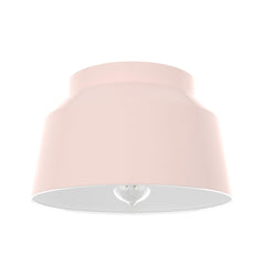 Hunter Fan Company 19172 Cranbrook Flush Mount Light, Blush Pink