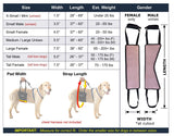 Dog Sling Hip Lift Harness, Tall Male fits Tall, Lean Dogs Like Greyhounds or...